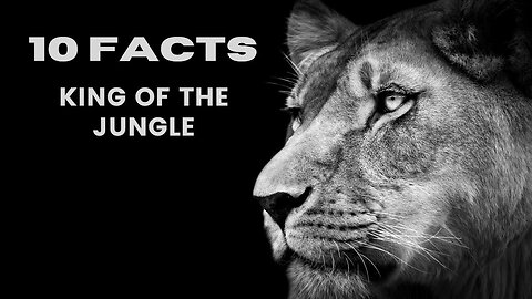 10 FACTS ABOUT LIONS THAT YOU MIGHT NOT KNOW