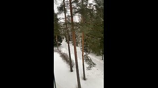Snow Finland Finlandia