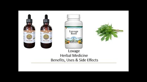 Lovage - Herbal Medicine - Benefits, Uses & Side Effects