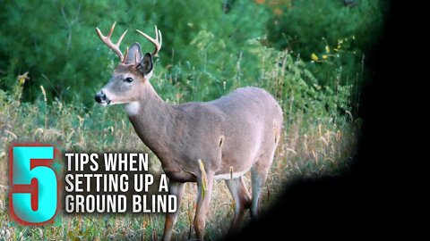 5 Things to Know Before Setting Up a Ground Blind
