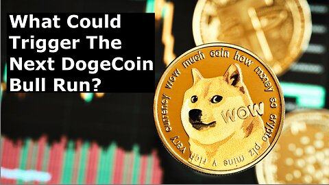 What Are Crypto Strategist Saying Could Trigger The Next DogeCoin Bull Run?