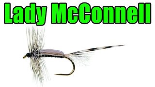 Chan's Lady McConnell Chironomid Dry Fly Tying - Brian Chan Fly Pattern