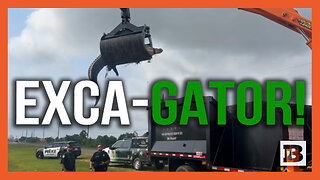 Exca-Gator! Texas Officials Lift Monstrous Brute of a 12-Foot Alligator Using Grapple Truck
