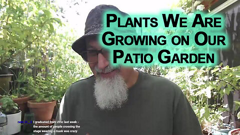 Plants We Are Growing on Our Patio Garden: Grow Your Own Food, Eat Healthy