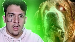 O CACHORRO que foi INFECTADO (CUJO) | VIRAL QUEST - MURIEL -