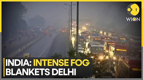 Severe Fog Reduces Visibility to Almost Zero in Delhi, India | WION GLOW