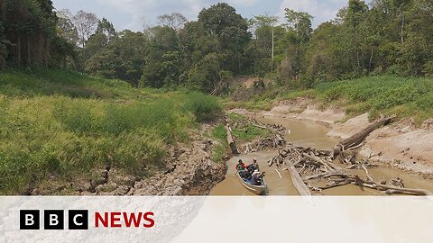 Is unprecedented drought pushing the Amazon to the brink? | BBC News