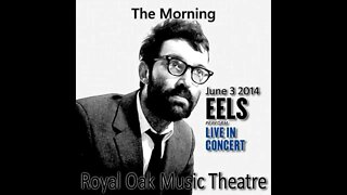 Eels - The Morning