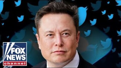'The Five' react to Elon Musk putting Twitter takeover 'on hold'