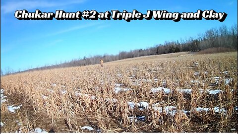 Chukar Hunt #2 at Triple J Wing and Clay