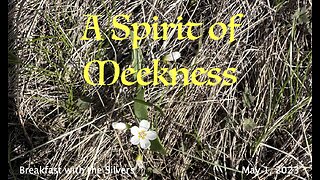 A Spirit of Meekness - Breakfast with the Silvers & Smith Wigglesworth May 1