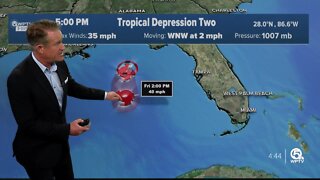 Tropical Depression 2 forms in Gulf of Mexico