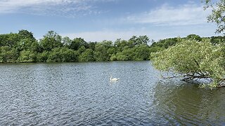 Mapperley Reservoir