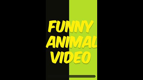 Funny animal video 2023 part 1 funny cats and dogs