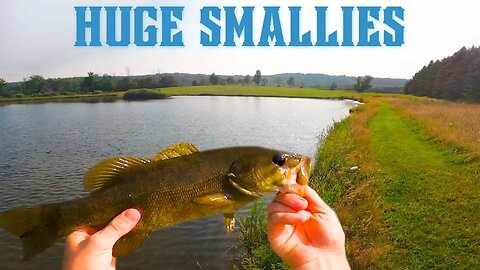 Fishing my Favorite Smallie Spot!!!