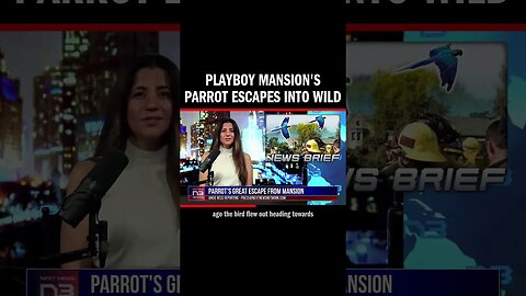 Parrot escapes from Playboy Mansion, eluding L.A