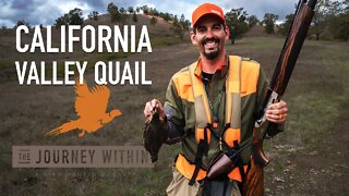 Valley Quail, Southern Oregon: The Journey Within - A Bird Hunter's Diary | Mark V Peterson