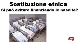 Sostituzione etnica: si può evitare finanziando le nascite?