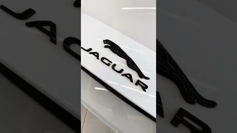 Jaguar de respeito