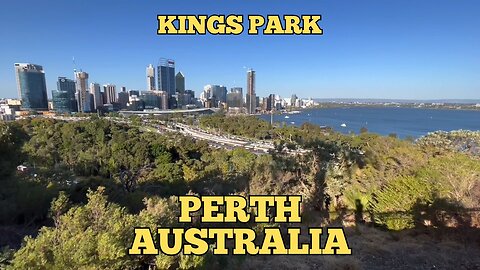 Exploring Perth Australia: A Walking Tour of Kings Park March 2023