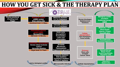HOW YOU GET SICK AND THE THERAPY PLAN | True Pathfinder