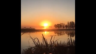 Time Lapse sunrise at the duck swamp