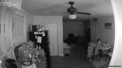 Orb shoots past security cam