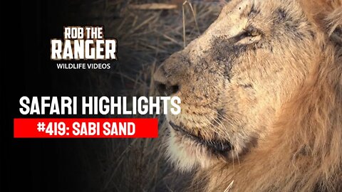 Safari Highlights #419: 01 - 04 July 2016 | Sabi Sand Wildtuin | Latest Wildlife Sightings