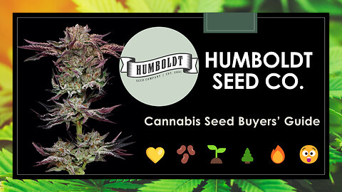 23 Best Humboldt Seed Co. Strains: Buyers' Guide