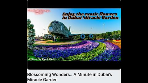 The Miracle Garden....Dubai