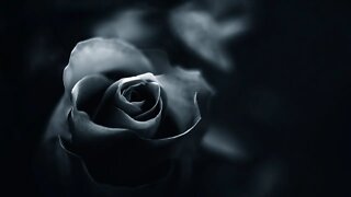 Relaxing Dark Romantic Music – Black Rose ★290