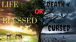 BLESSED OR CURSED LIFE OR DEATH
