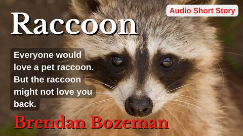 Raccoon, by Brendan Bozeman