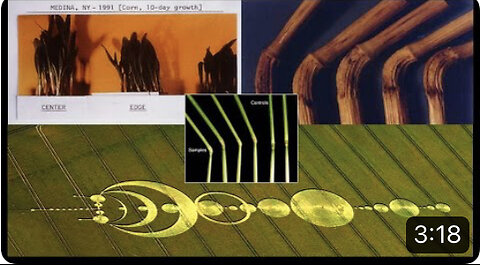The Truth About Crop Circles