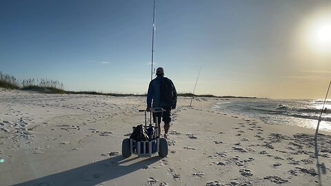 Beach Fishing for Tacos!