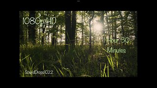 Stress Relieving Sounds of Nature Video 1 Hour 30 Minutes