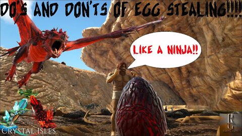 Ark How To Steal Crystal Wyvern Eggs l How to not die