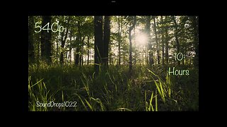 Sleep to 10 Hours of Nature Sounds Video