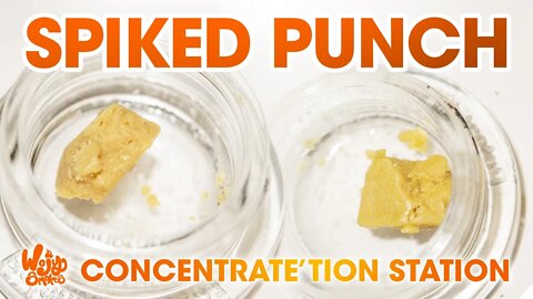 Spiked Punch Budder Review - Only $36