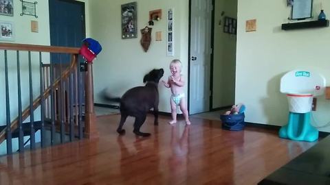 Adorable Toddler And His Dog Share Special Bond Since Birth