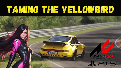 Ruf Yellowbird On Nordschleife - Assetto Corsa's Ultimate Challenge.
