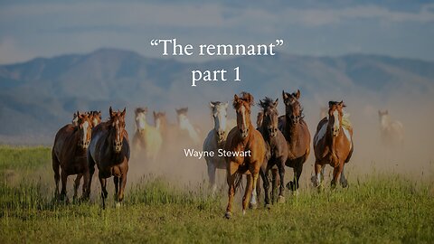 The Remnant - Part 1