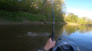 Netting The Musky (SHORT)