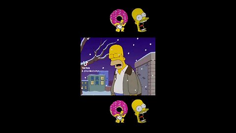 Homer Simpsons life in 14 seconds!?