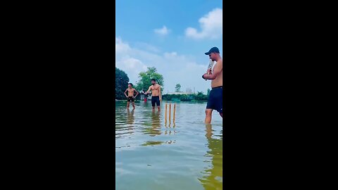 funny cricket game video