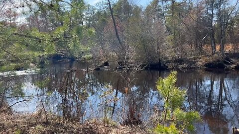 Jersey pine barrens Mullica River