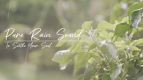 🌿 10 Hours of Pure Rain Sound to Soothe Your Soul | For Your Deep Sleep and Ultimate Relaxation