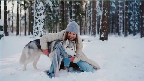 Cute Baby Dog With Lovely Couple #cutepets #cutehusky #husky Animals