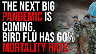 The Next Big Pandemic Is COMING, Bird Flu Has 60% MORTALITY RATE & IS INFECTING MAMMALS