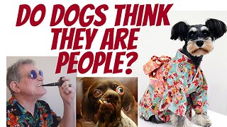 Do dogs think they are people...or that people are dogs?